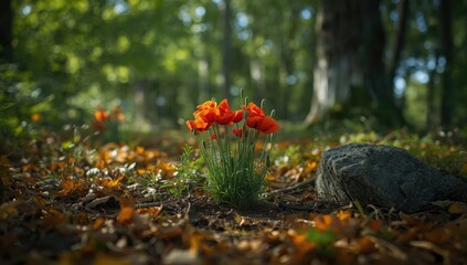 Obraz premium Flower and greenery in forest setting highlighting natural preservation