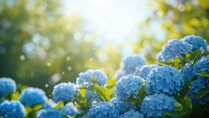 Bright blue floral scene with sunlight rays creating a lively summer backdrop for editorial design