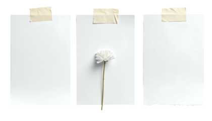 Three taped white papers, one with a delicate flower, on black