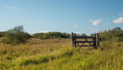 Rural wooden fence in a village scene, aged wood to define property lines, Earth Day environmental preservation