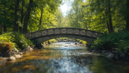 Fototapeta premium Concrete footbridge over a flowing stream amidst summer greenery, used for pedestrian access in natural settings.