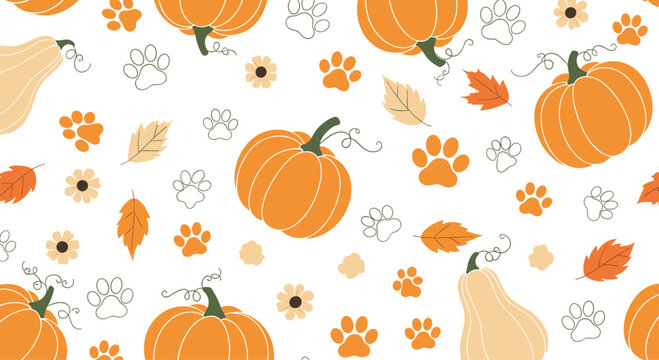 Autumnal pattern with orange pumpkins, squashes, leaves, flowers, and pet paw prints on a clean white background.