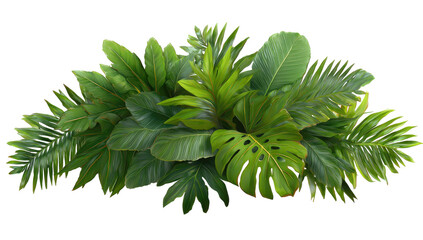 Lush tropical foliage cluster (6)