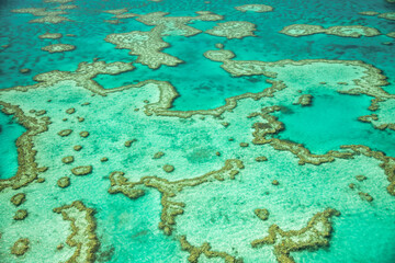 Naklejka premium Scenic airplane perspective of Queensland coral reef showcasing turquoise waters and marine textures