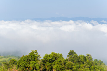 Obraz premium A thick layer of white clouds forms a dramatic inversion above vibrant green forest in Dien Bien, Vietnam. Clear blue sky and distant mountain ridges create a fresh, uplifting atmosphere.