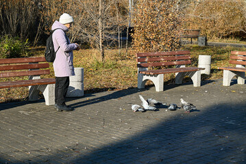 Older woman watches pigeons in a park during a sunny day in autumn