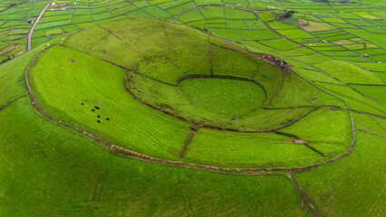 Touros negros a pastar num vulcão da ilha Terceira nos Açores  © António Duarte