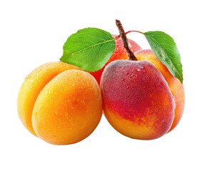 Close-up of two apricots and one peach, fresh and vibrant