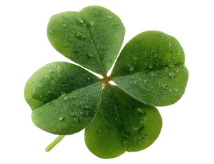 Close-up of a vibrant four-leaf clover, glistening with water droplets (1)