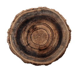 Close-up of a tree trunk cross-section.  Dark brown wood, circular rings, detailed growth patterns,  natural texture, aged wood
