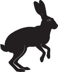 Naklejka premium Jackrabbit Silhouette