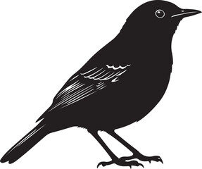 Nightingale Silhouette