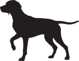 Vizsla Dog Silhouette