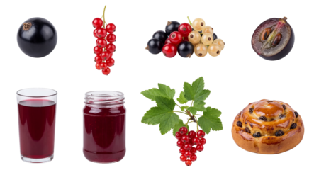 set of a currant collection in different forms, black red white, jam, juice isolated on a transparent background