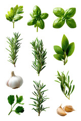 Collection of fresh herbs and garlic