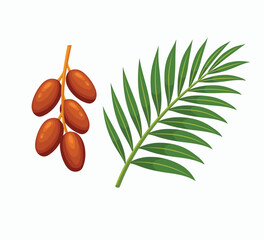 Illustration of ripe date fruits with a green palm leaf, symbolizing natural sweetness, tropical plants, and healthy organic food.