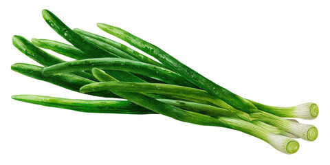 Bunch of fresh green scallions
