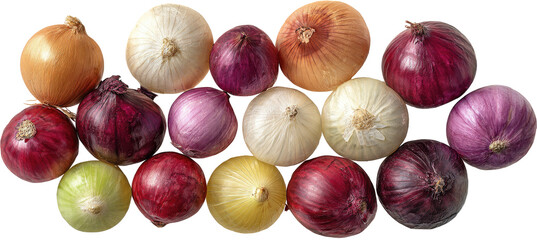 Assorted onions in various colors (1)