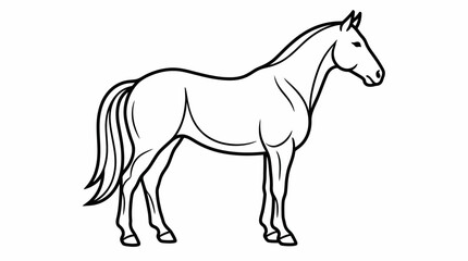 Obraz premium Detailed line drawing illustration of a standing domestic horse with defined mane and tail on a clean white background, concept for mascot design, coloring book page and equestrian branding