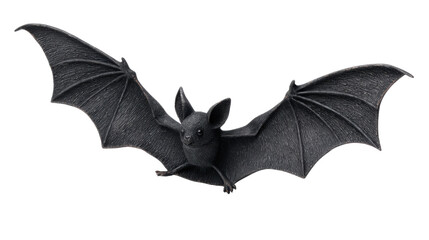 Fototapeta premium A single black bat isolated on white background
