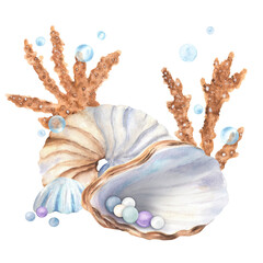 watercolor, seashell, coral, art, illustration, aquatic, bubbles, beige, underwater, composition, isolated, decorative, design, beach, artistic, painting, whimsical, wildlife, sea, shell, sea life, ma