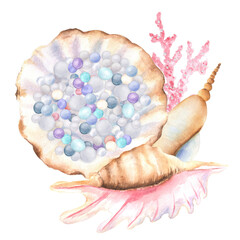 A large seashell full of colorful pearls, pink corals and spiral seashells. Underwater world clipart. Hand-drawn watercolor illustration for ocean-themed design, postcards, posters, stickers