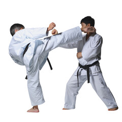 &ldquo;Female Martial Artist Performing High Front Kick in White Karate Uniform with Black Belt, Isolated on Black Background&rdquo;
