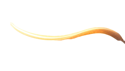 A glowing, curved, light-orange line with a soft gradient, set against a black background