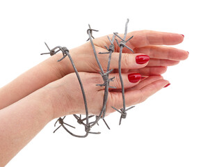 Female hands tied with barbed wire on a white background.