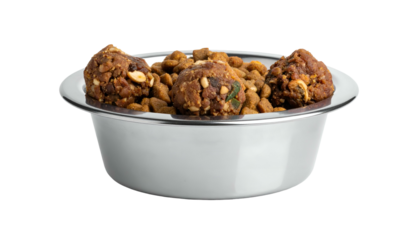 A shiny silver pet bowl filled with dry kibble and three round, textured treats