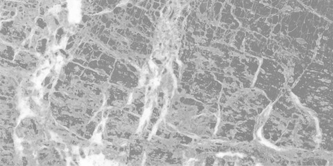 Obraz premium White gray grey bright light grunge stone concrete cement blackboard chalkboard wall texture background. Back flat stucco gray stone table top view. 