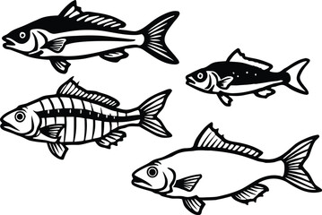 Four different fish species illustration isolated on transparent background