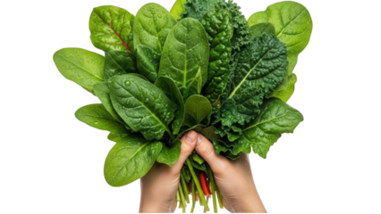A person holding a bunch of fresh leafy greens on transparent background
