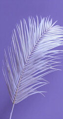 Fototapeta premium Single palm leaf on purple background