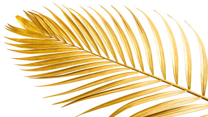 Golden palm leaf isolated on white background cut out on PNG. AI GENERATED.