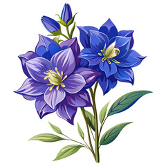 Blue Purple Delphinium Flowers with Green Leaves Botanical Illustration