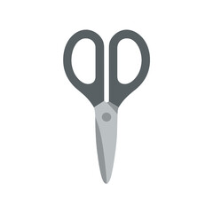 Kitchen Scissors