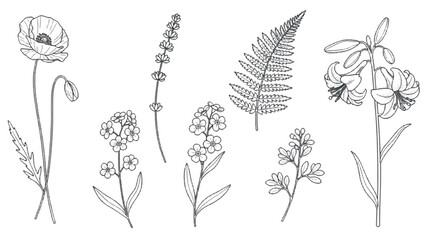 Modern Organic Floral Sketch Vector Elements