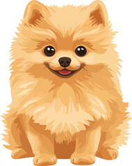 Pomeranian Dog Vector on Transparent Background