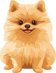 Pomeranian Dog Vector on Transparent Background