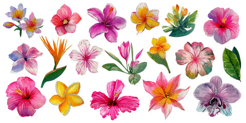 Vibrant tropical hibiscus flowers and exotic green leaves watercolor illustration set © darkheaven