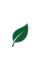 A simple, stylized dark green leaf with a prominent central vein, placed on a clean white background