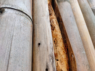 Close up detail of old cracked bamboo pole texture. Weathered dry gray bamboo surface with vertical split and wood dust. Close up of a broken bamboo fence.
