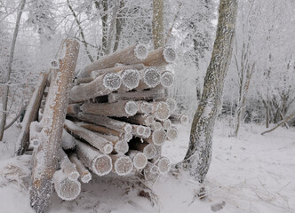 Zimowy g&oacute;rski krajobraz spowity w gęstej mgle