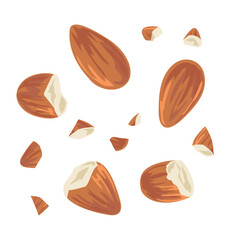 Almond &ndash; Hand Drawn Food Illustration Isolated on White Background