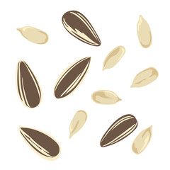 Sunflower Seed &ndash; Hand Drawn Food Illustration Isolated on White Background