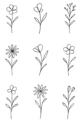 set of black and white flowers,
Minimalist Flower Line Drawing, Botanical Sketch Illustration