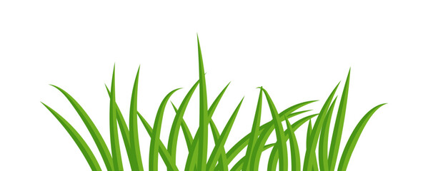 Simple Grass vector illustration.