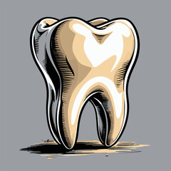 vector image of a human tooth