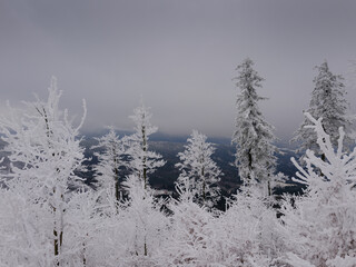Zimowy g&oacute;rski krajobraz spowity w gęstej mgle
